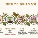 종실농장 네이버블로그