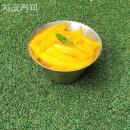 상월곡역 카페 치코커피 후기굿인맛집
