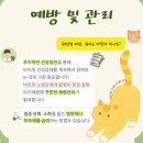 새로이동물병원 이미지