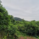 봉두농장 이미지