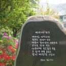 수국 이미지