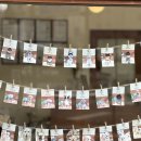 살롱드도만 | 살롱드도만 , 운양동애견미용 포메 가위컷 후기