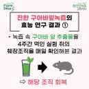팜듀참선진녹즙