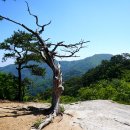 칠보산휴게소 이미지