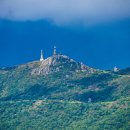 거제옥산숲 이미지