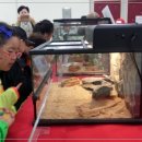 곤충생태관_1 이미지