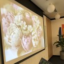 지나케이크 이미지