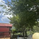 배내대리길 이미지