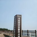 제19회 전남 동·서 문화교류 | 목포 아이와 가볼 만한 곳 해양유물과 실물 선박까지! 목포 국립 해양유물전시관 솔직 후기