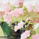 취미 수채화교실 이미지