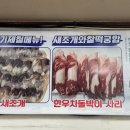 대명찐수산