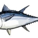 사람휘트니스 올레시장점 이미지