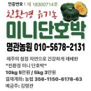 ***제주도 무릉도원 친환경유기농 미니단호박 주문받아요*** 이미지