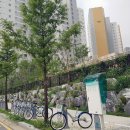 죽동지구 이미지