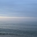 마르용화 | 삼척 1박 여행 숙소 마르용화 후기 ^*^ 삼척 중앙시장 달강정 맛도리 &amp; 덕봉산 해안 산책로, 가곡 유황온천