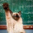 내손으로 만드는 나무도마 이미지