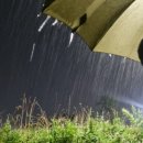 (주)자연애마트 - 대덕구 | (주)자연애마트