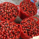 서화농장 이미지