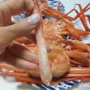 2019038 | 대구 대게 맛집 배달게 2번째후기 퀵으로 편하게