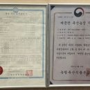 흑돈 영농조합법인 이미지