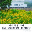 숲과함께 | 제주 동굴 카페 비케이브 후기｜숲과 정원이 함께 있는 감성 공간