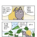 개미와베짱이 이미지