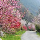 늘처음처럼 이미지