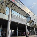 길 위의 시선 유기동물의 계절 | 서울대공원 동물원 후기 새끼호랑이 설호부터 물개까지 아이와 가볼만한