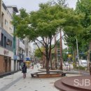 유성네거리 이미지