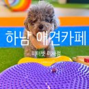 피터펫 미사점 이미지