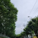 은희태양에너지 이미지