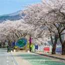 영천체육공원 이미지