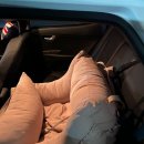 (주)산강아지 이미지