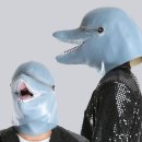 파티파티 이미지