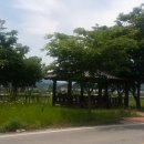 대보1리 마을회관 이미지