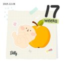 3세판토스트전문점 | 임신일기 임신기록 임신안정기 임신중기증상 임신17-19주차 임산부 환도선다 통증, 19주차 태동