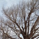 볼음도길 이미지