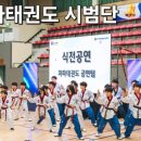 용인 파파태권도장 이미지