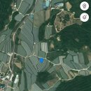 거문들1길 이미지