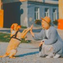 딜리동물병원 이미지