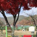 쉼, 힐링하우스 이미지