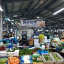 모슬포약초