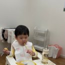 편한키즈풀빌라 | 【가평】가평 키즈풀빌라 추천｜아기랑 가기 좋은 편한키즈애견풀빌라 솔직후기