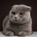 금천동물병원 이미지