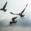 남양3리 이미지