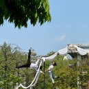 서커스 음악극 <체어, 테이블, 체어> | 수원 경기상상캠퍼스에서 2025 수원연극축제, 숲속의 파티