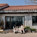 오유오 | 하남 웨딩염색 오유오 헤어 하경수석실장님 강력추천 후기