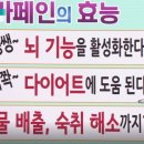 조선대학교 임상약학대학원 이미지