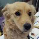 한라동물종합병원 이미지