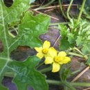 우무실하우스 이미지